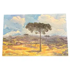 Foto de um(a) Andrea Prezutti - Araucárias, da categoria de Pinturas. Óleo sobre tela da grande artista paranaense Andrea Prezutti, natural de Jacarezinho. Vendido no marketplace Trésors.