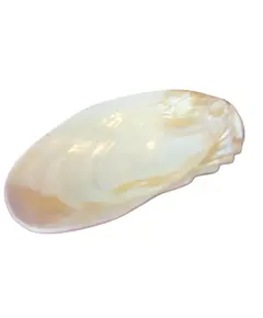 Foto de um(a) Pinga Joias em Madrepérola, da categoria de Porta-Jóias. Ilumine o seu visual com o brilho iridescente da nossa Pingajoia em Madrepérola. Cada peça é única, refletindo nuances... Vendido no marketplace Trésors.