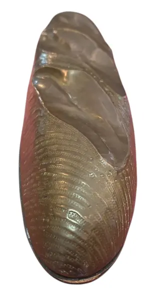 Foto de um(a) Baguete Decorativa em Latão, da categoria de Outros colecionáveis. Esta peça exclusiva é uma celebração da panificação clássica traduzida em arte decorativa. Com um realismo impressionante,... Mostrado de uma perspectiva diferente. Vendido no marketplace Trésors.