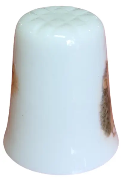 Foto de um(a) Dedal em Porcelana Decorado - Porco-Espinho e Margarida - Colecionável, da categoria de Outros colecionáveis. Esta peça apresenta uma estampa detalhada e lúdica de um pequeno porco-espinho segurando uma margarida, com o verso adornado... Mostrado de uma perspectiva diferente. Vendido no marketplace Trésors.