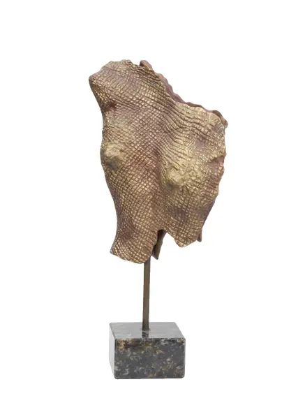 Foto de um(a) Torso Feminino Bronze - Lirdi M. Jorge, da categoria de Escultura. Torso feminino confeccionado em bronze. Obra assinada por Lirdi M. Jorge. Peça de caráter artístico e decorativo. Vendido no marketplace Trésors.