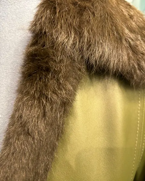 Foto de um(a) Jaqueta Vintage Couro Verde e Pele, da categoria de Casacos. Jaqueta Vintage Verde, couro macio, possivelmente pelica verde, detalhes em pelo autêntico, forrada, de alta qualidade,... Mostrado de uma perspectiva diferente. Vendido no marketplace Trésors.