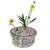 Foto de um(a) Pique Fleurs Cristal, da categoria de Vasos. GLASS FLOWER FROG ou PIQUE FLEURS, são perfeitas para pequenos arranjos ou para serem usadas dentro de um vaso, para... Vendido no marketplace Trésors.