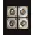 Foto de um(a) Cj 4 Mini Quadros Camafeus, da categoria de Molduras para quadros. Conjunto de 4 belos mini quadros com camafeu de cena galante e damas, confeccionados em metal e moldura em antigas teclas de... Mostrado de uma perspectiva diferente. Vendido no marketplace Trésors.