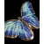 Foto de um(a) Borboleta azul em Porcelana, da categoria de Objetos de parede esculturais. Belíssima borboleta em porcelana, em tons de azul com linda esmaltação, a peça tem como proposta ser pendurada na parede,... Mostrado de uma perspectiva diferente. Vendido no marketplace Trésors.