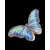 Foto de um(a) Borboleta azul em Porcelana, da categoria de Objetos de parede esculturais. Belíssima borboleta em porcelana, em tons de azul com linda esmaltação, a peça tem como proposta ser pendurada na parede,... Mostrado de uma perspectiva diferente. Vendido no marketplace Trésors.