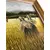 Foto de um(a) Quadro Fernando Ikoma - Trigais, da categoria de Pinturas. Fernando Ikoma Trigais Medidas: 67x57cm com moldura 50x40cm sem moldura. Mostrado de uma perspectiva diferente. Vendido no marketplace Trésors.