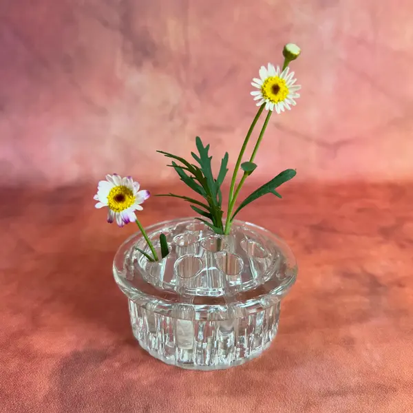 Foto de um(a) Pique Fleurs Cristal, da categoria de Vasos. GLASS FLOWER FROG ou PIQUE FLEURS, são perfeitas para pequenos arranjos ou para serem usadas dentro de um vaso, para... Mostrado de uma perspectiva diferente. Vendido no marketplace Trésors.