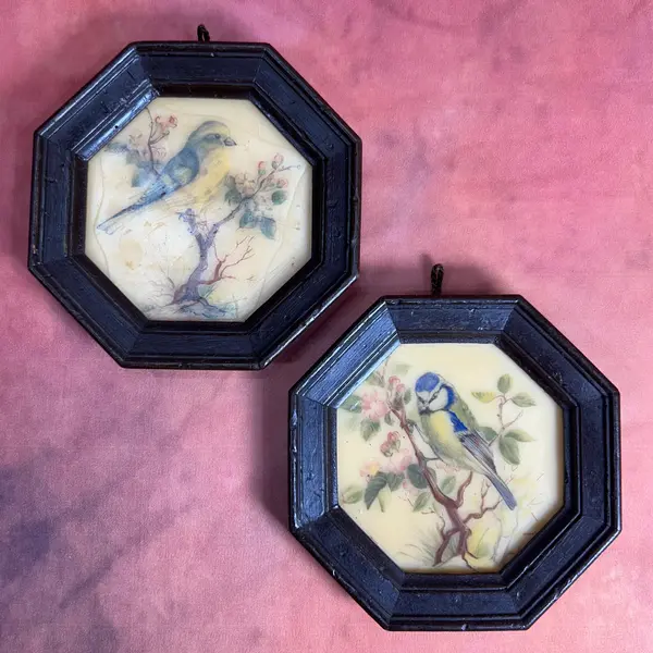 Foto de um(a) Par de mini quadros pássaros em cera, da categoria de Molduras para quadros. par de quadrinhos VINTAGE todo em cera, técnica surpreendente e curiosa de época, contém decalques de passarinhos com camada... Mostrado de uma perspectiva diferente. Vendido no marketplace Trésors.