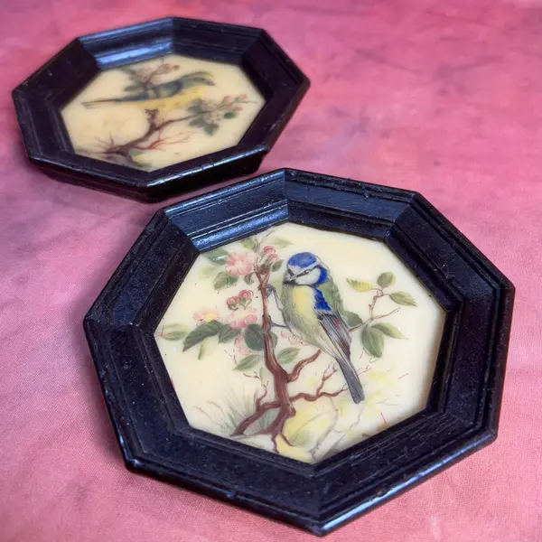 Foto de um(a) Par de mini quadros pássaros em cera, da categoria de Molduras para quadros. par de quadrinhos VINTAGE todo em cera, técnica surpreendente e curiosa de época, contém decalques de passarinhos com camada... Mostrado de uma perspectiva diferente. Vendido no marketplace Trésors.