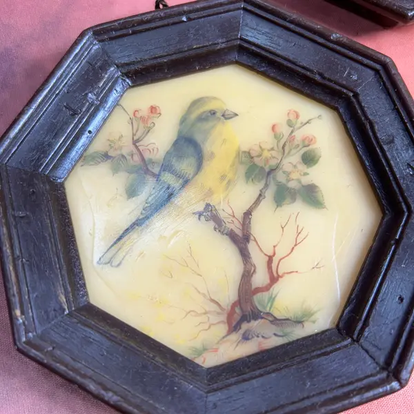 Foto de um(a) Par de mini quadros pássaros em cera, da categoria de Molduras para quadros. par de quadrinhos VINTAGE todo em cera, técnica surpreendente e curiosa de época, contém decalques de passarinhos com camada... Mostrado de uma perspectiva diferente. Vendido no marketplace Trésors.