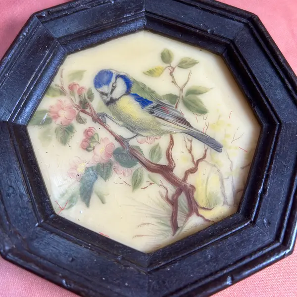Foto de um(a) Par de mini quadros pássaros em cera, da categoria de Molduras para quadros. par de quadrinhos VINTAGE todo em cera, técnica surpreendente e curiosa de época, contém decalques de passarinhos com camada... Mostrado de uma perspectiva diferente. Vendido no marketplace Trésors.