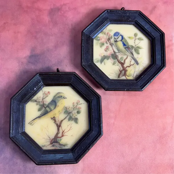 Foto de um(a) Par de mini quadros pássaros em cera, da categoria de Molduras para quadros. par de quadrinhos VINTAGE todo em cera, técnica surpreendente e curiosa de época, contém decalques de passarinhos com camada... Mostrado de uma perspectiva diferente. Vendido no marketplace Trésors.