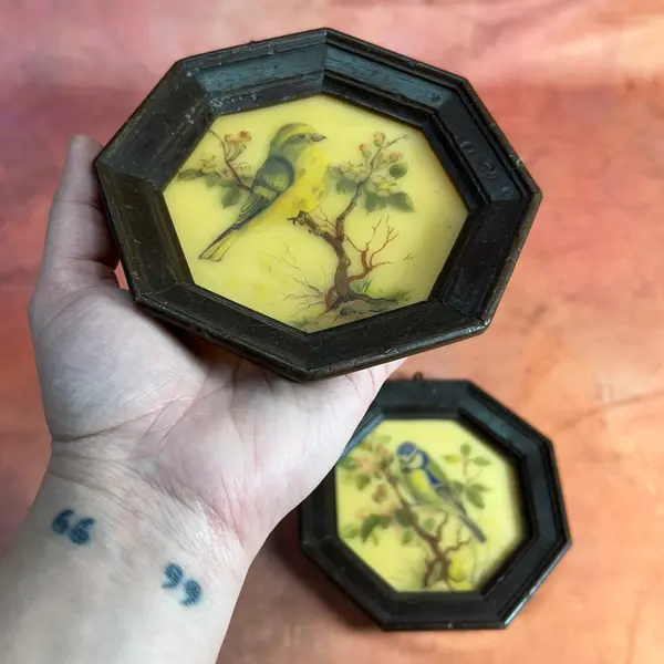 Foto de um(a) Par de mini quadros pássaros em cera, da categoria de Molduras para quadros. par de quadrinhos VINTAGE todo em cera, técnica surpreendente e curiosa de época, contém decalques de passarinhos com camada... Mostrado de uma perspectiva diferente. Vendido no marketplace Trésors.