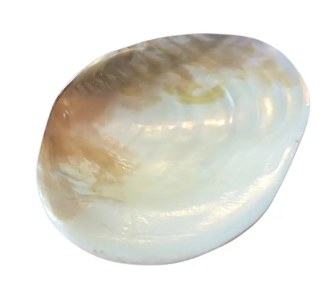 Foto de um(a) Pinga Joias em Madrepérola, da categoria de Porta-Jóias. Ilumine o seu visual com o brilho iridescente da nossa Pingajoia em Madrepérola. Cada peça é única, refletindo nuances... Mostrado de uma perspectiva diferente. Vendido no marketplace Trésors.