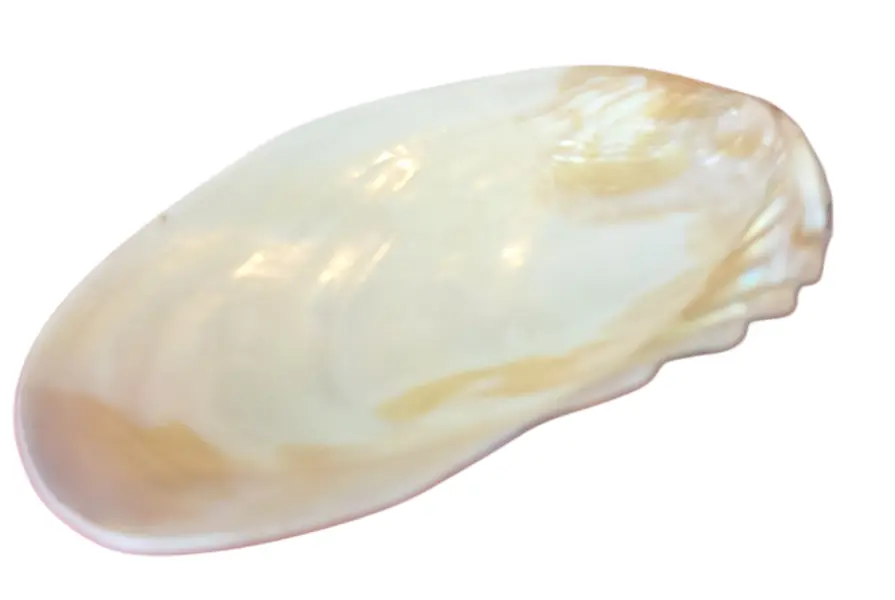 Foto de um(a) Pinga Joias em Madrepérola, da categoria de Porta-Jóias. Ilumine o seu visual com o brilho iridescente da nossa Pingajoia em Madrepérola. Cada peça é única, refletindo nuances... Vendido no marketplace Trésors.